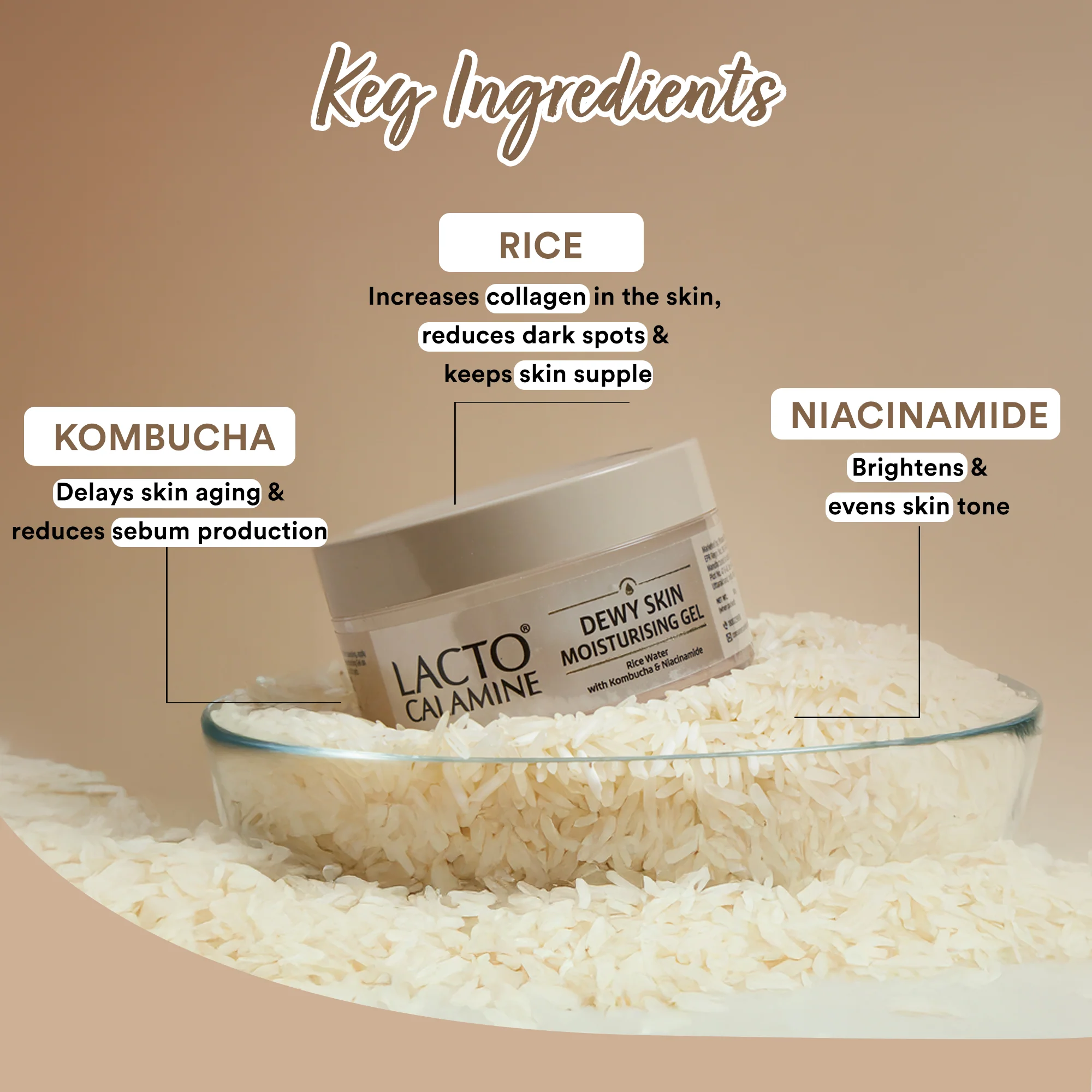 Lacto Calamine Dewy Rice Moisturizer with Rice, Kombucha & Niacinamide for Glass Like Skin - Image 4
