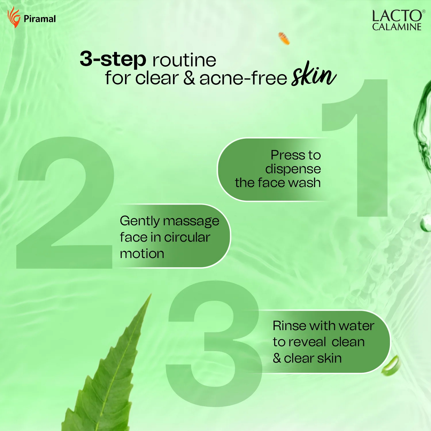 Lacto Calamine Neem Face Wash - Image 4