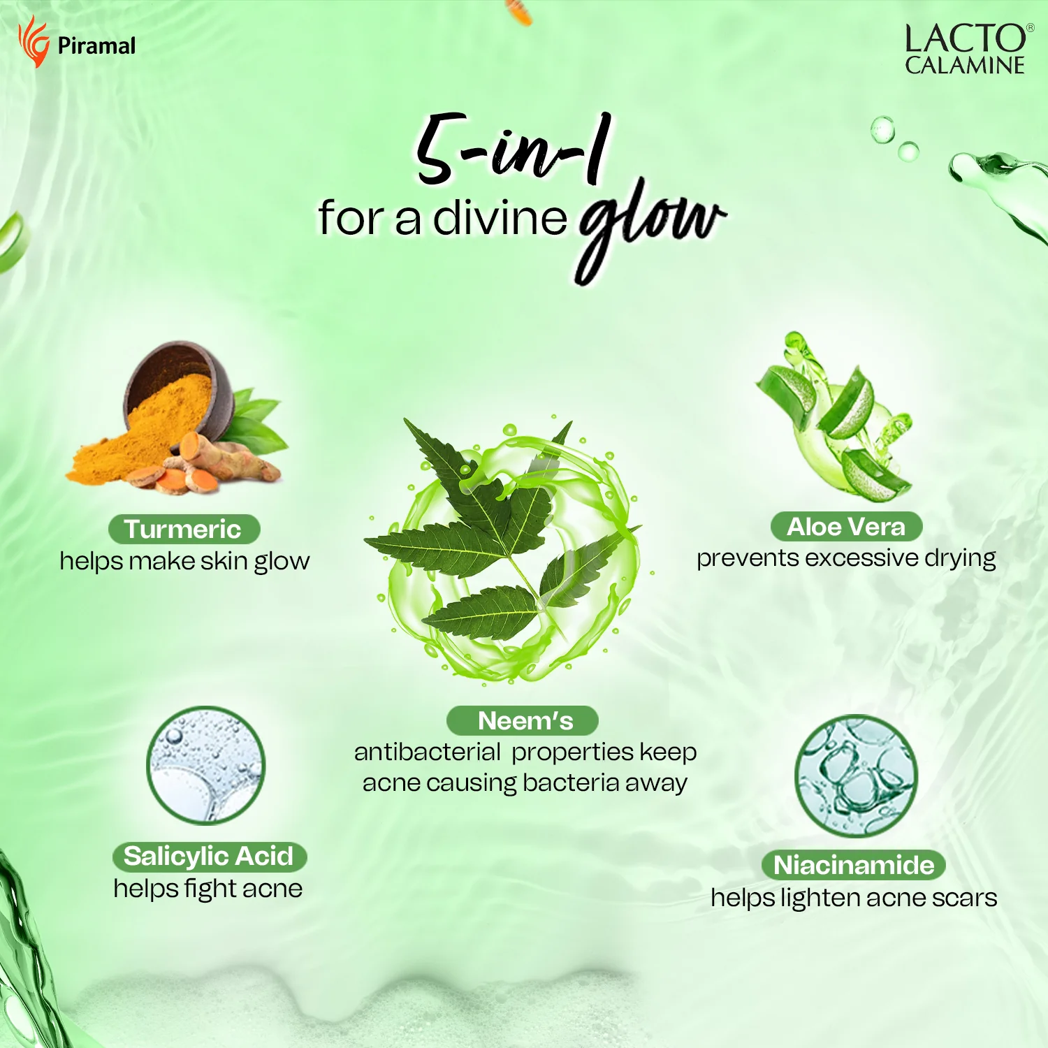 Lacto Calamine Neem Face Wash - Image 5