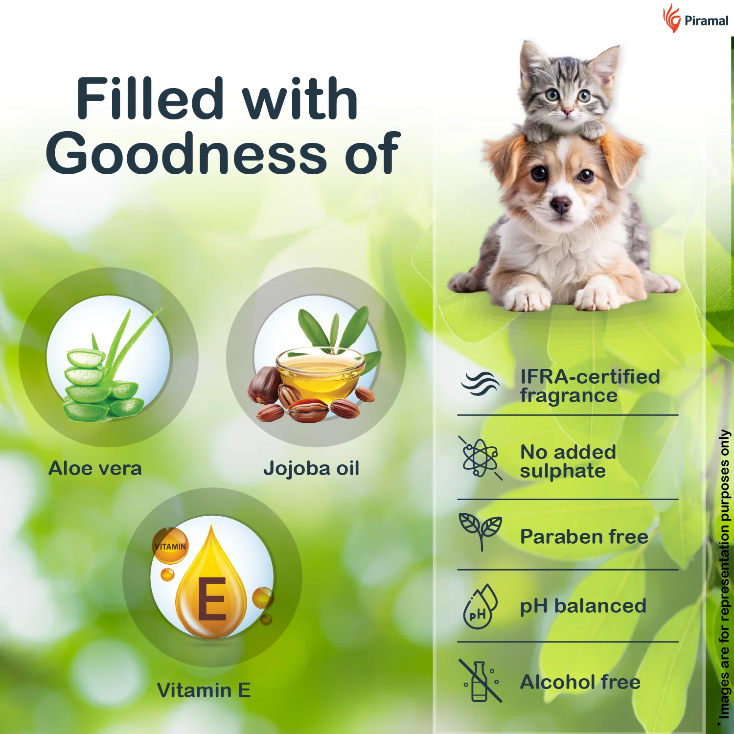 PawKare Pet Wipes for Dogs & Cats | Vet Recommended Grooming Wipes | Alcohol-Free Wet Wipes for Cats & Dogs | Pets Dry Bathing, Paw Cleaning | Aloe Vera, Jojoba Oil, Vitamin E - Image 6