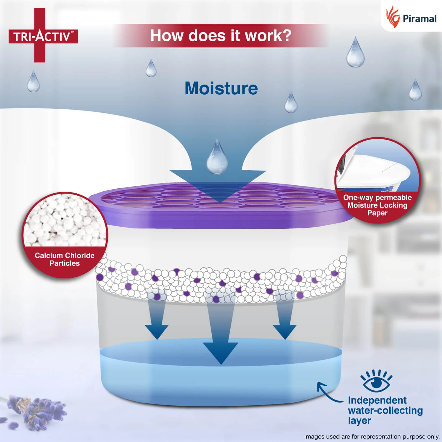 Tri-Activ Moisture Absorbers | Dehumidifier For Wardrobe, Closet, Shoe Rack | Absorption Capacity upto 600ml Each I Prevent Mould & Fungus, Allergens & Eliminate Odour - Image 9